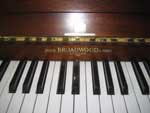 Broadwood Upright Piano for sale