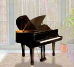 Butterfly Baby Grand Piano for sale