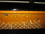 Edelweiss 125 Upright Piano for sale